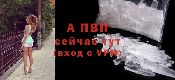 индика Касимов