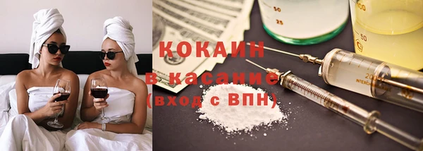 индика Касимов