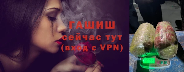 индика Касимов