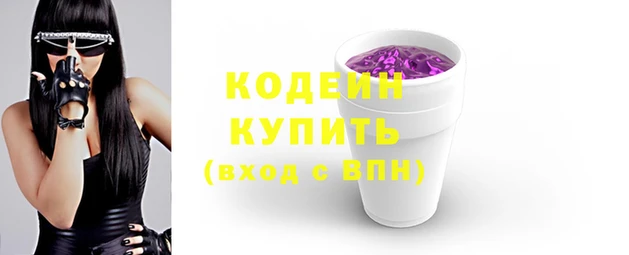 индика Касимов