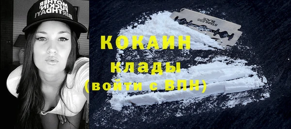 индика Касимов