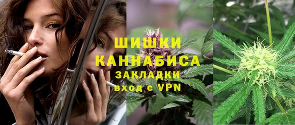 индика Касимов