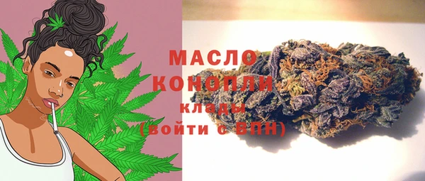 индика Касимов