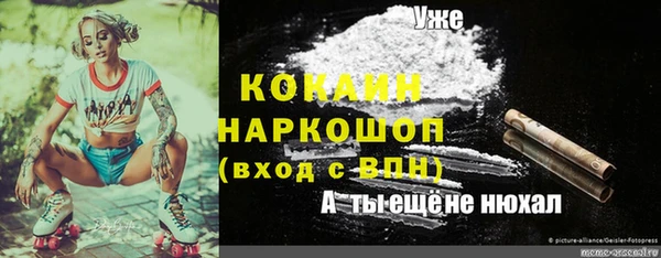индика Касимов