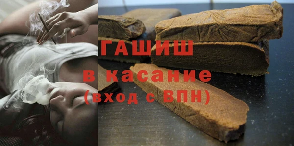 индика Касимов