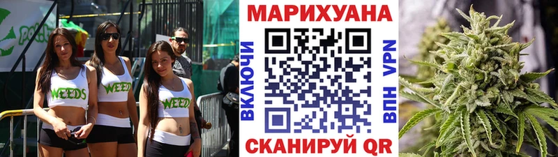Бошки марихуана семена  Купить  Каргополь 